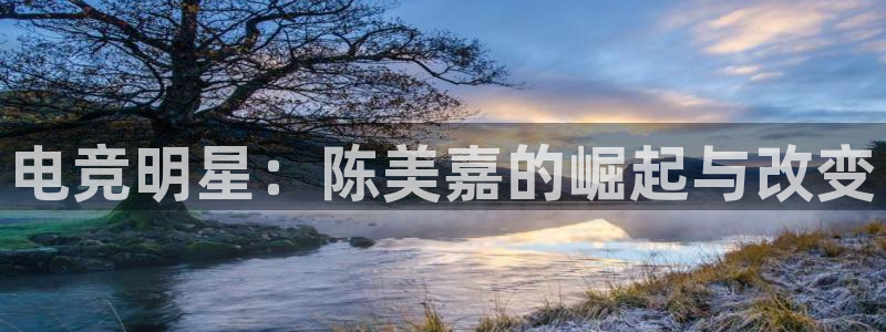 多宝电竞app：电竞明星：陈美嘉的崛起与改变