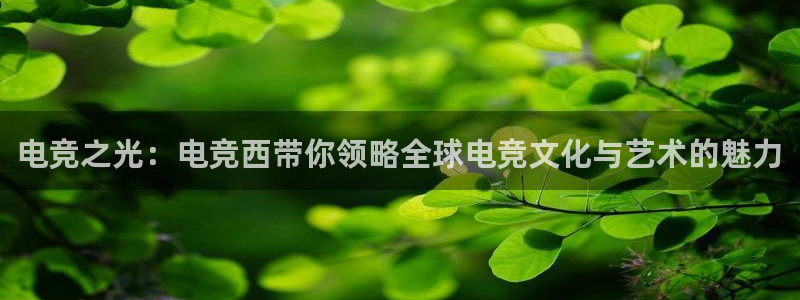 多宝电竞入口：电竞之光：电竞西带你领略全球电竞文化与艺术的魅力