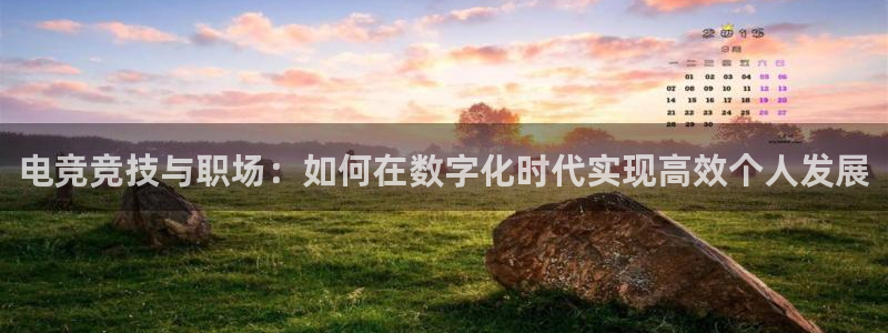 多宝电竞app：电竞竞技与职场：如何在数字化时代实现高效个人发展