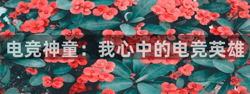 多宝电竞下载：电竞神童：我心中的电竞英雄