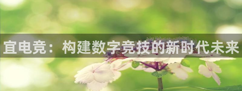 多宝电竞app：宜电竞：构建数字竞技的新时代未来