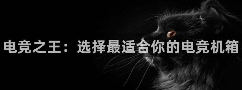 多宝电竞有名嘛：电竞之王：选择最适合你的电竞机箱