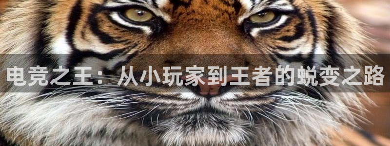 多宝电竞|welcome：电竞之王：从小玩家到王者的蜕变之路