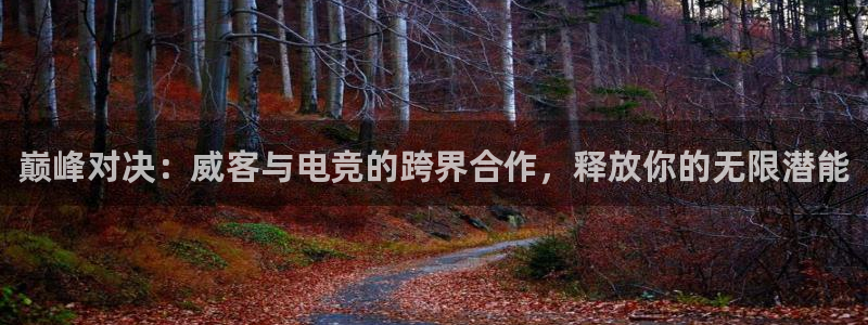 多宝电竞(体育)官方网站：巅峰对决：威客与电竞的跨界合作，释放你的无限潜能